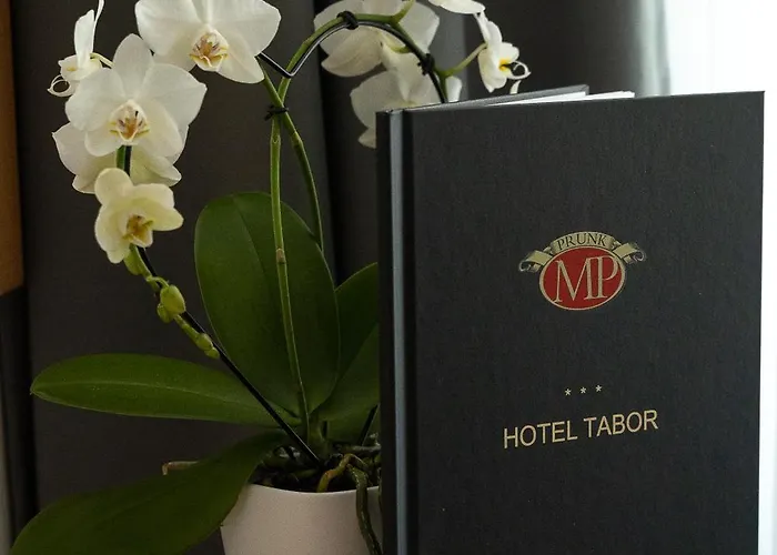 Tabor فندق Sežana